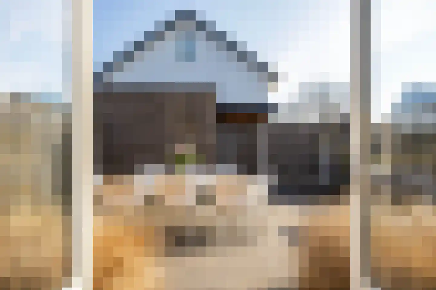 Bongerd 15 Borne thumbnail 12