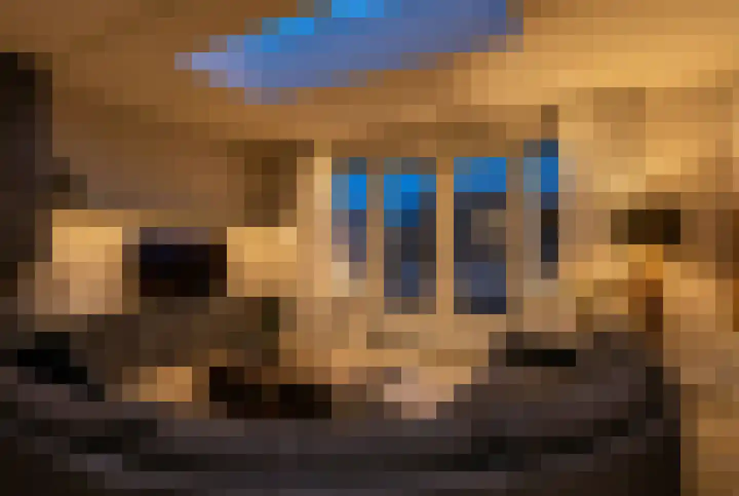 Bongerd 15 Borne thumbnail 13