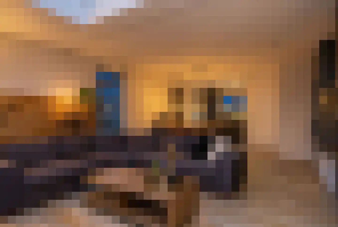Bongerd 15 Borne thumbnail 15