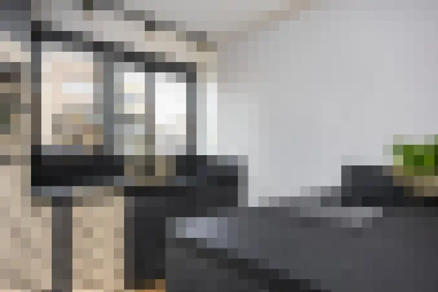 Bongerd 15 Borne thumbnail 21