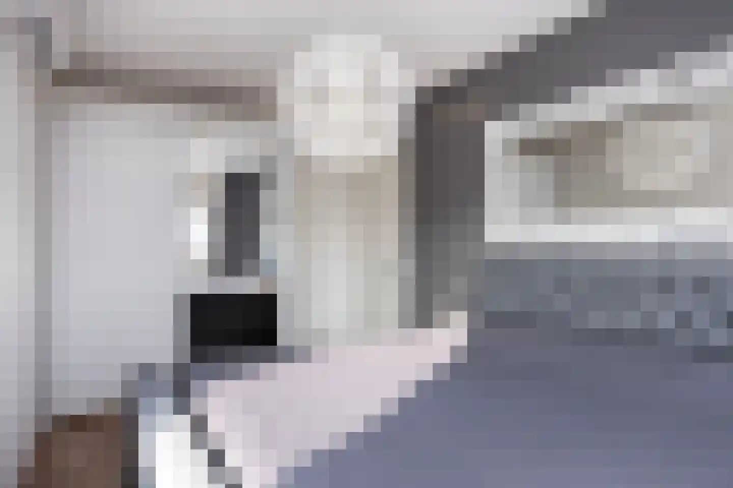 Bongerd 15 Borne thumbnail 24