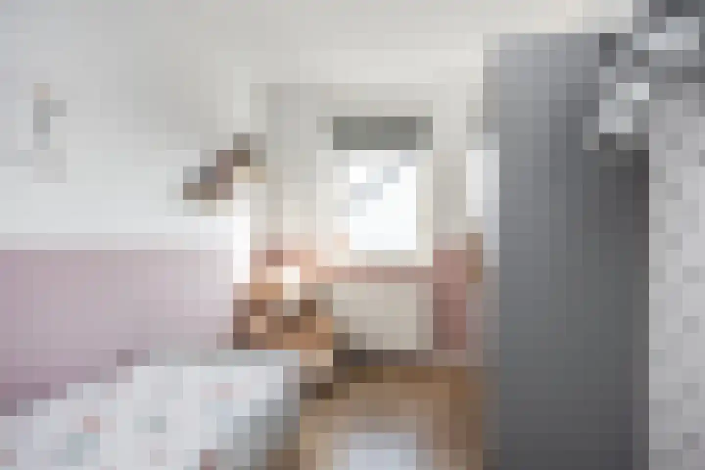 Bongerd 15 Borne thumbnail 25