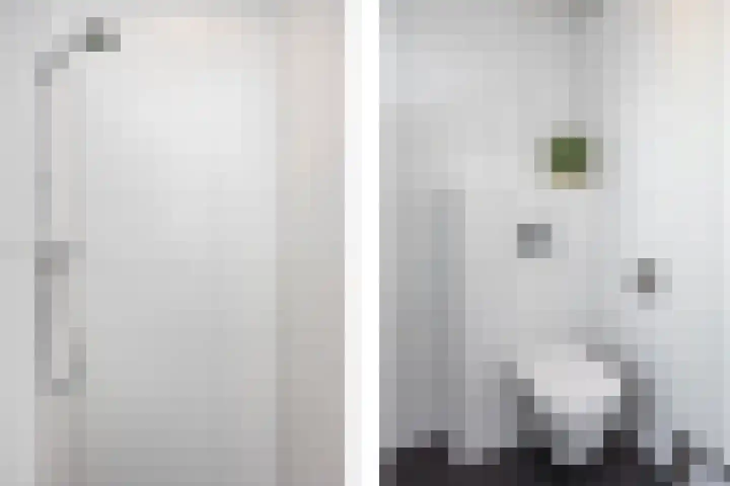 Bongerd 15 Borne thumbnail 29