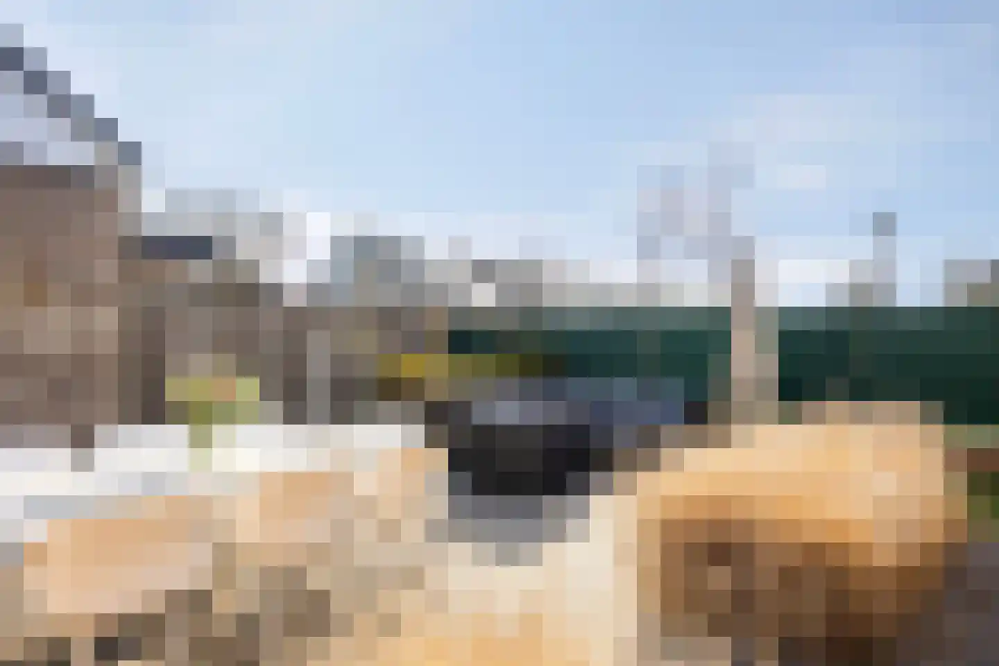 Bongerd 15 Borne thumbnail 32