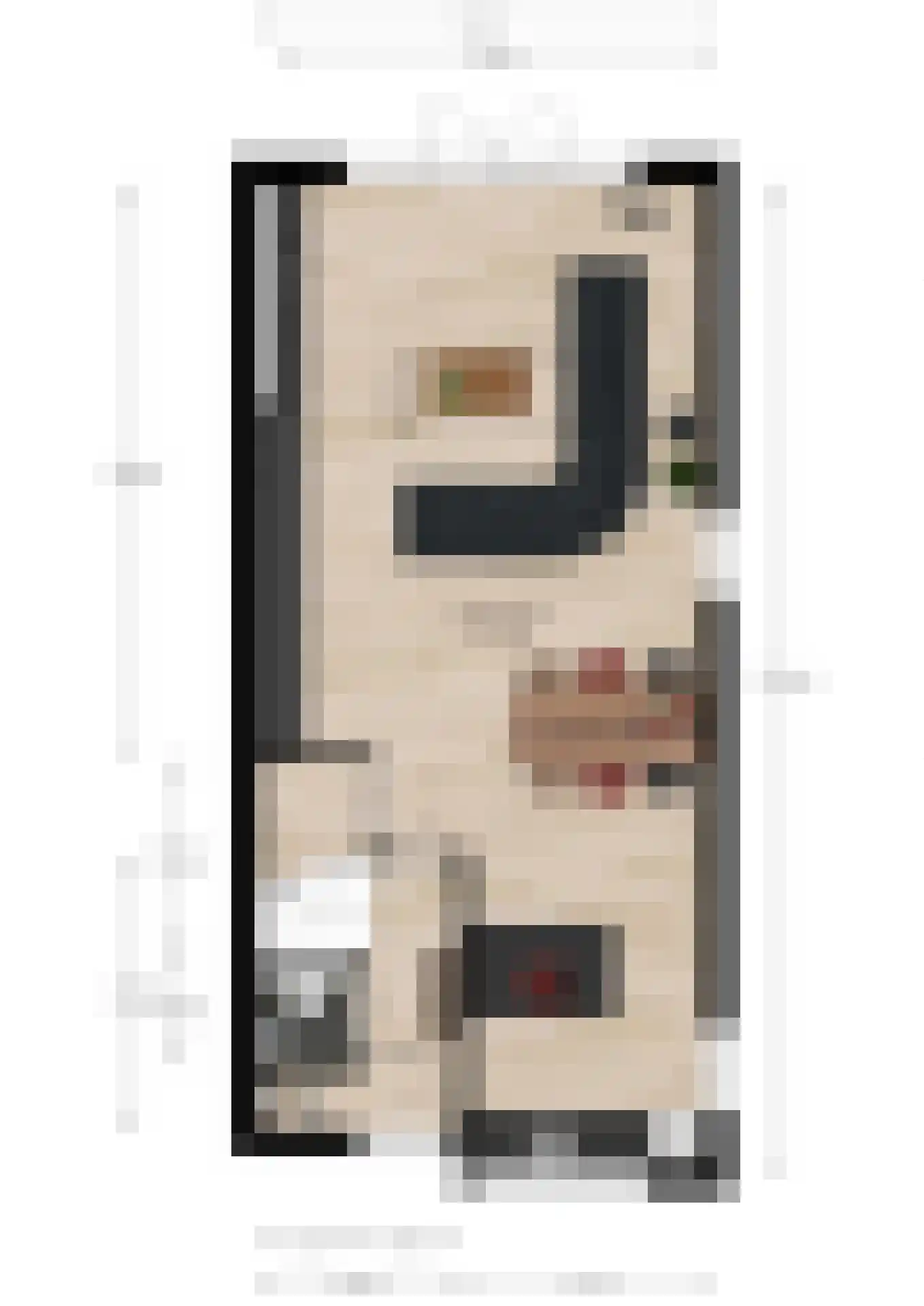 Bongerd 15 Borne thumbnail 38