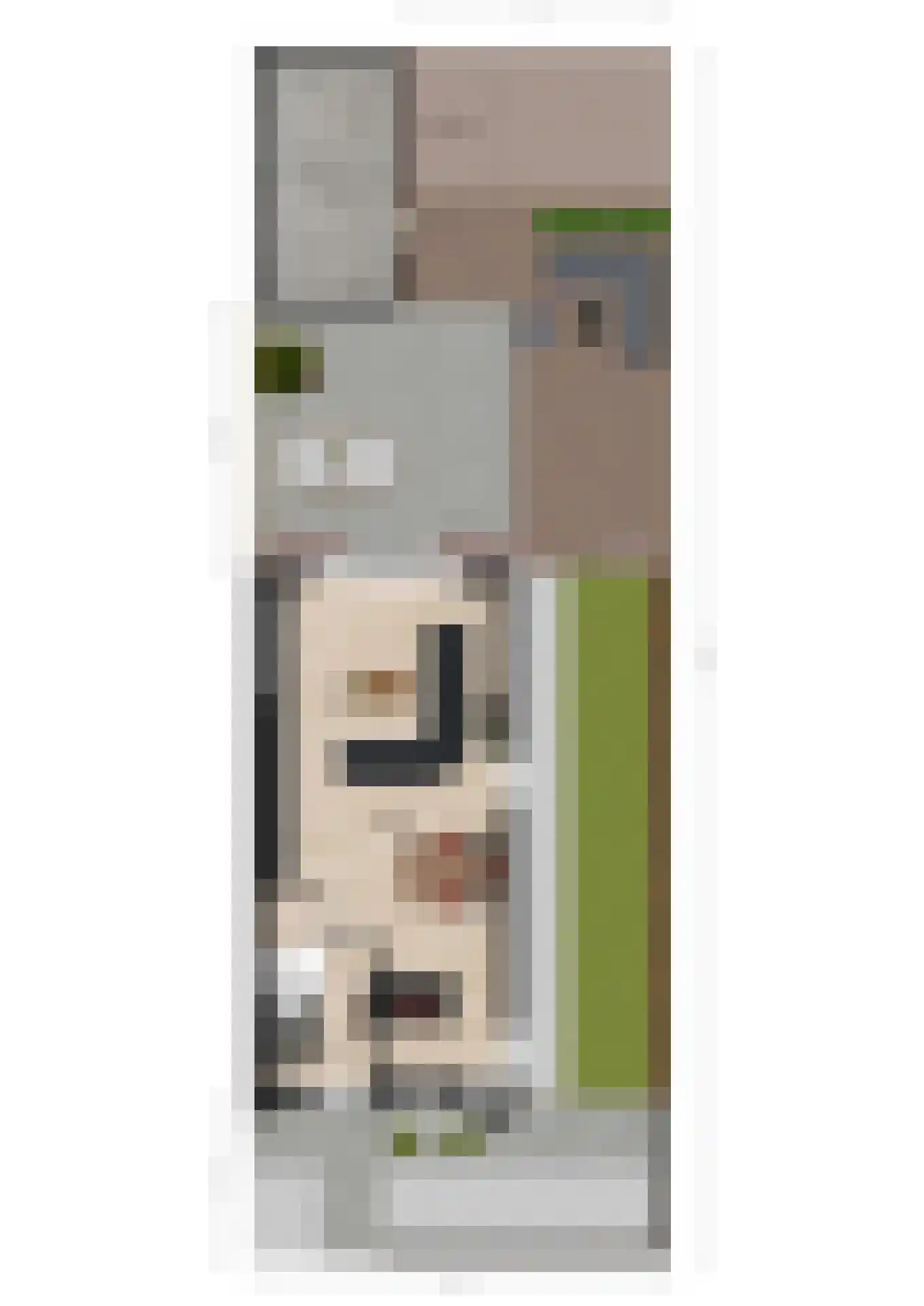 Bongerd 15 Borne thumbnail 42