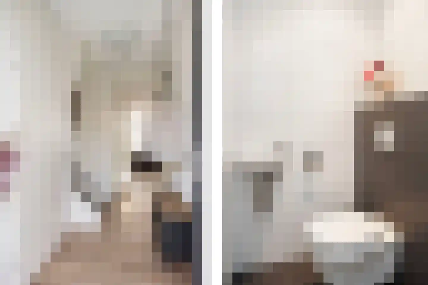 Bongerd 15 Borne thumbnail 9