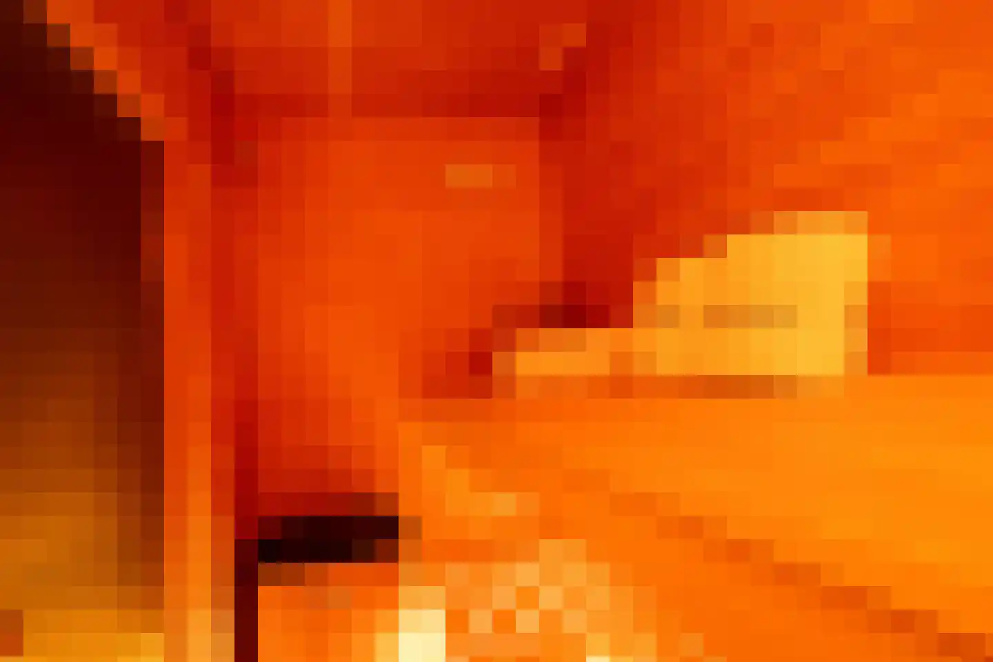 Bongerd 15 Ulft thumbnail 16
