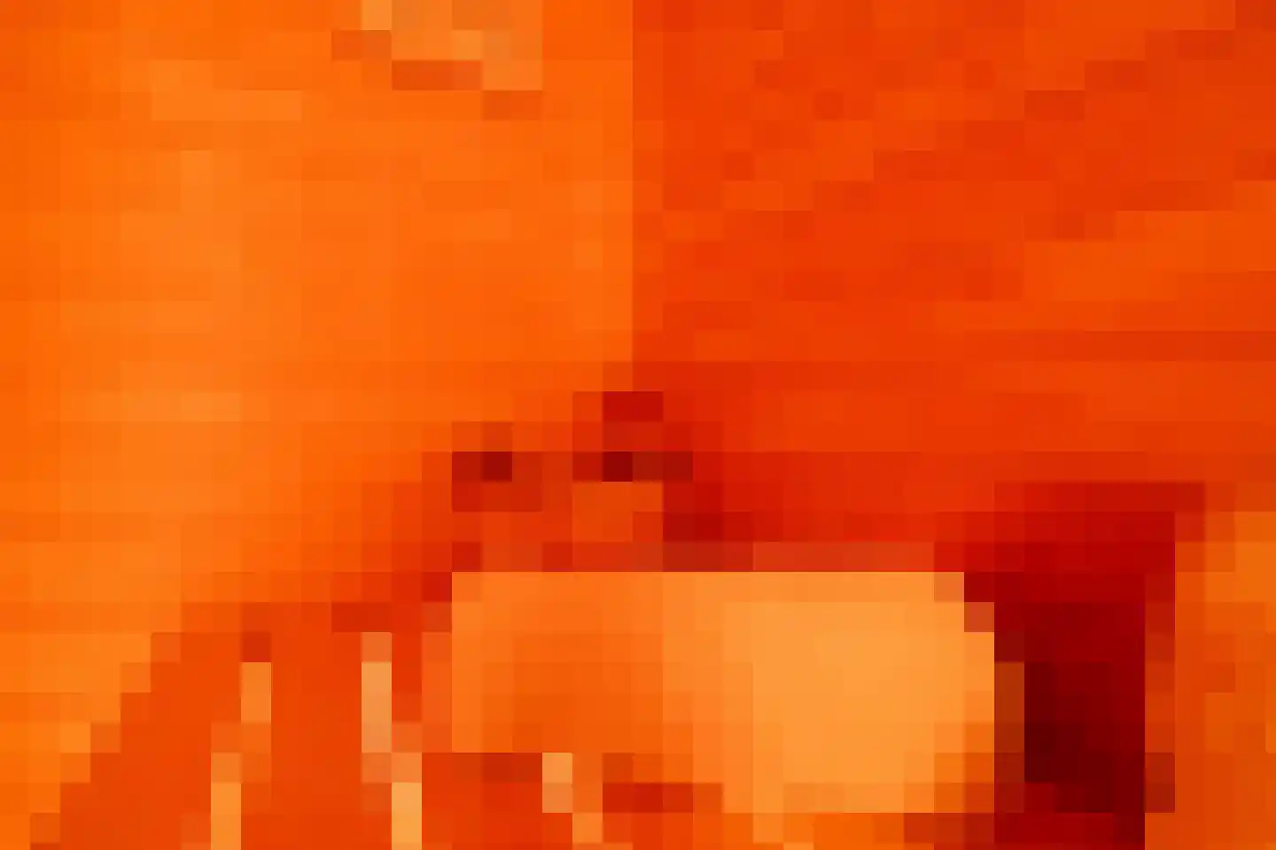 Bongerd 15 Ulft thumbnail 18