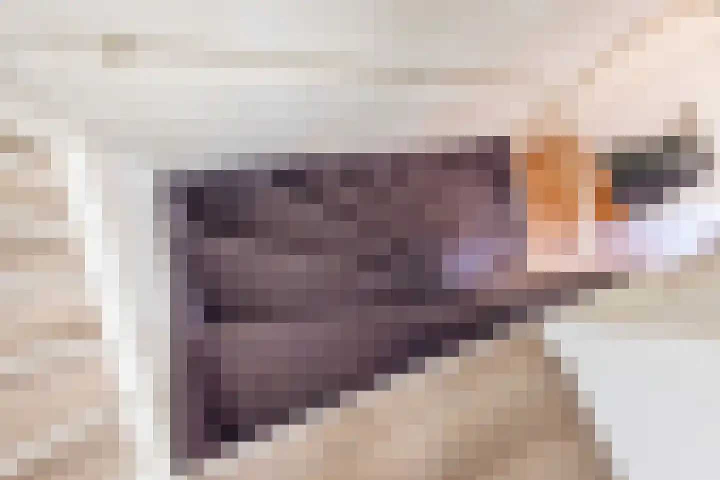 Bongerd 15 Ulft thumbnail 21