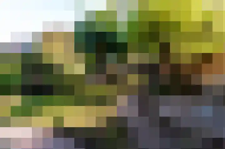 Bongerd 164 Lelystad thumbnail 41