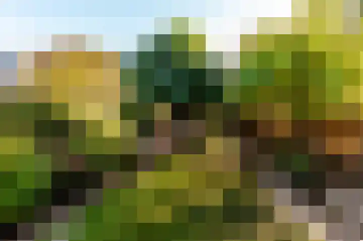 Bongerd 164 Lelystad thumbnail 42