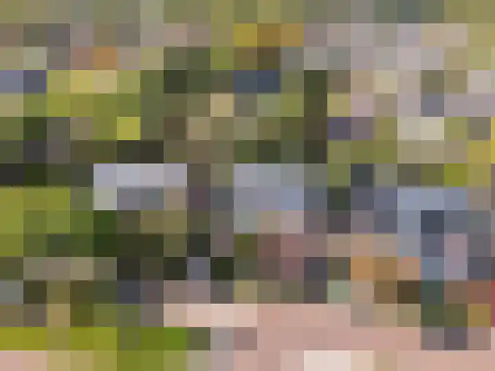 Bongerd 164 Lelystad thumbnail 52