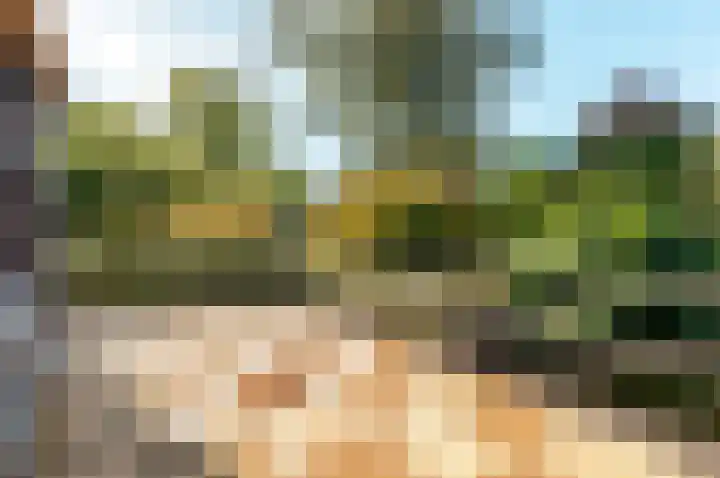 Bongerd 164 Lelystad thumbnail 6