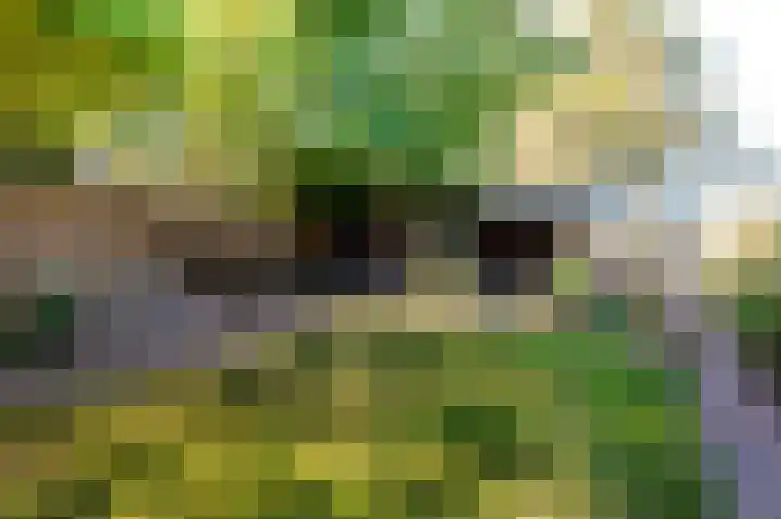 Bongerd 164 Lelystad thumbnail 7