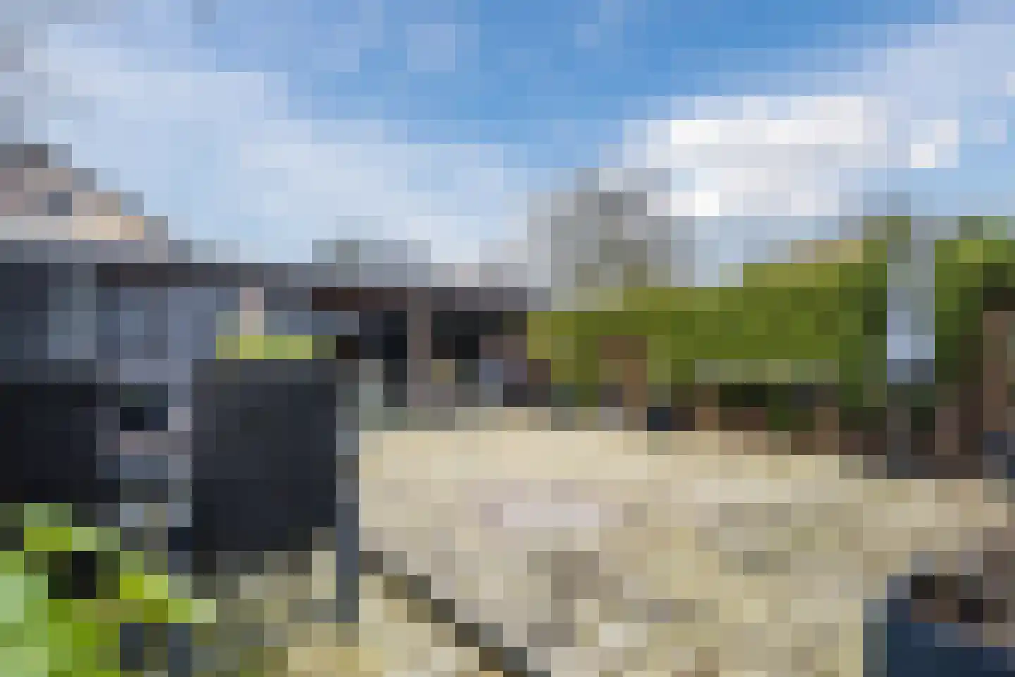 Bongerd 176 Lelystad thumbnail 45