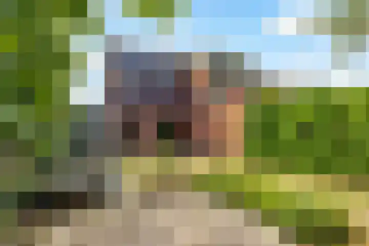 Bongerd 177 Lelystad thumbnail 34