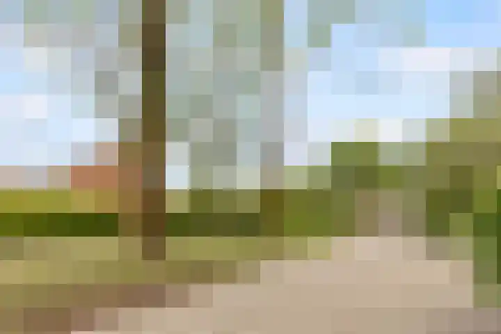Bongerd 177 Lelystad thumbnail 38