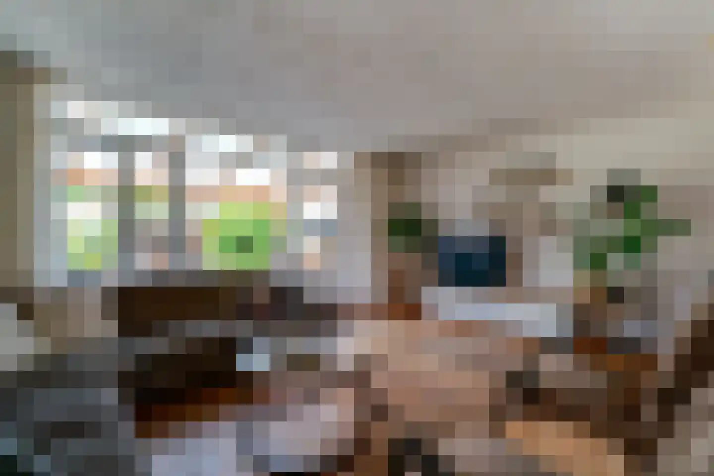 Bongerd 18 Giesbeek thumbnail 15