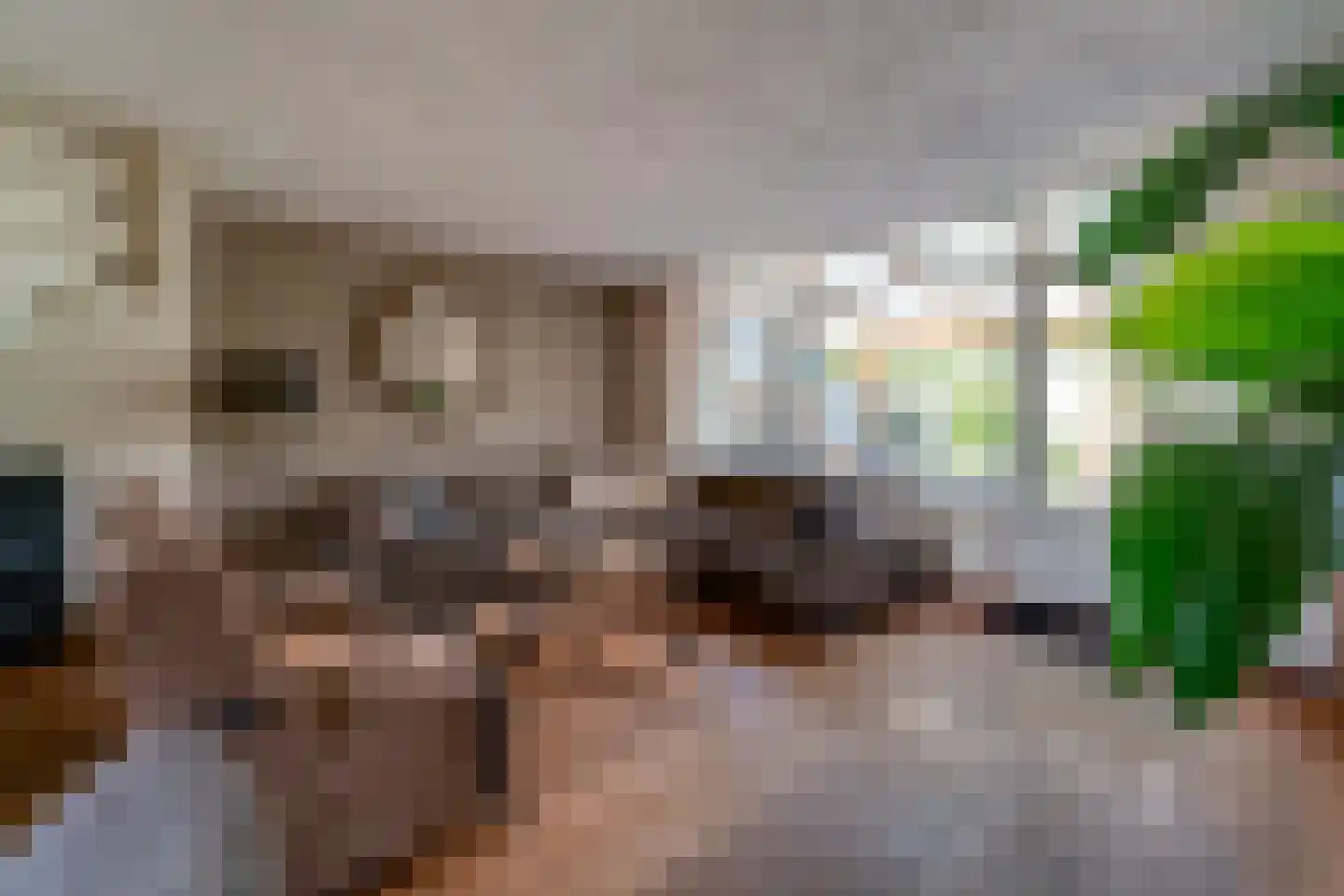 Bongerd 18 Giesbeek thumbnail 16
