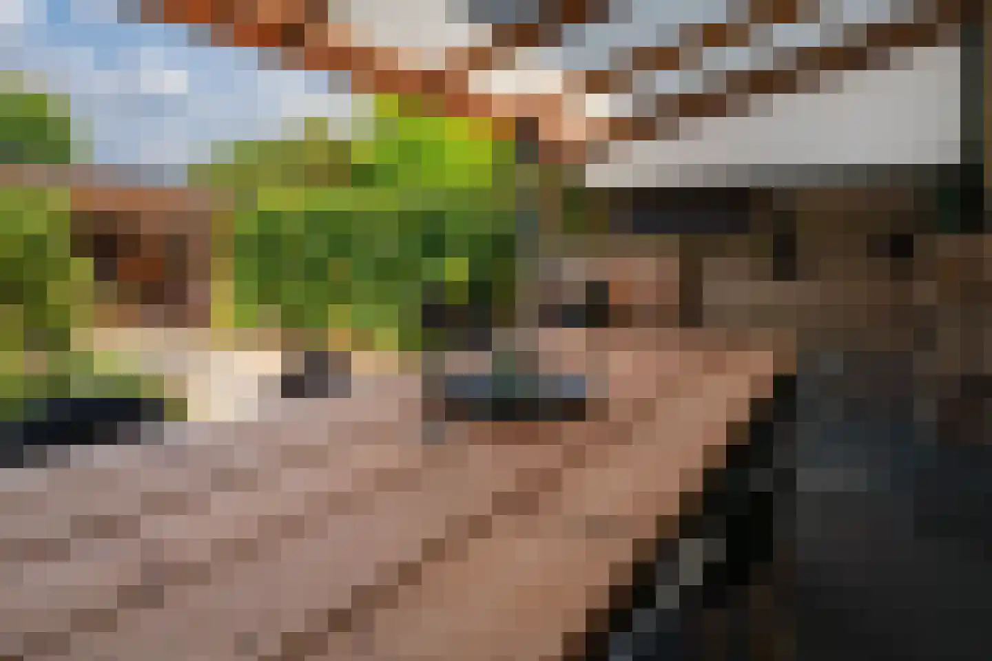 Bongerd 18 Giesbeek thumbnail 25