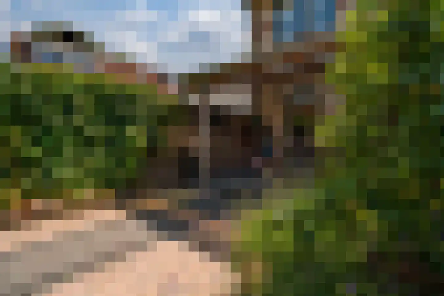 Bongerd 18 Giesbeek thumbnail 26