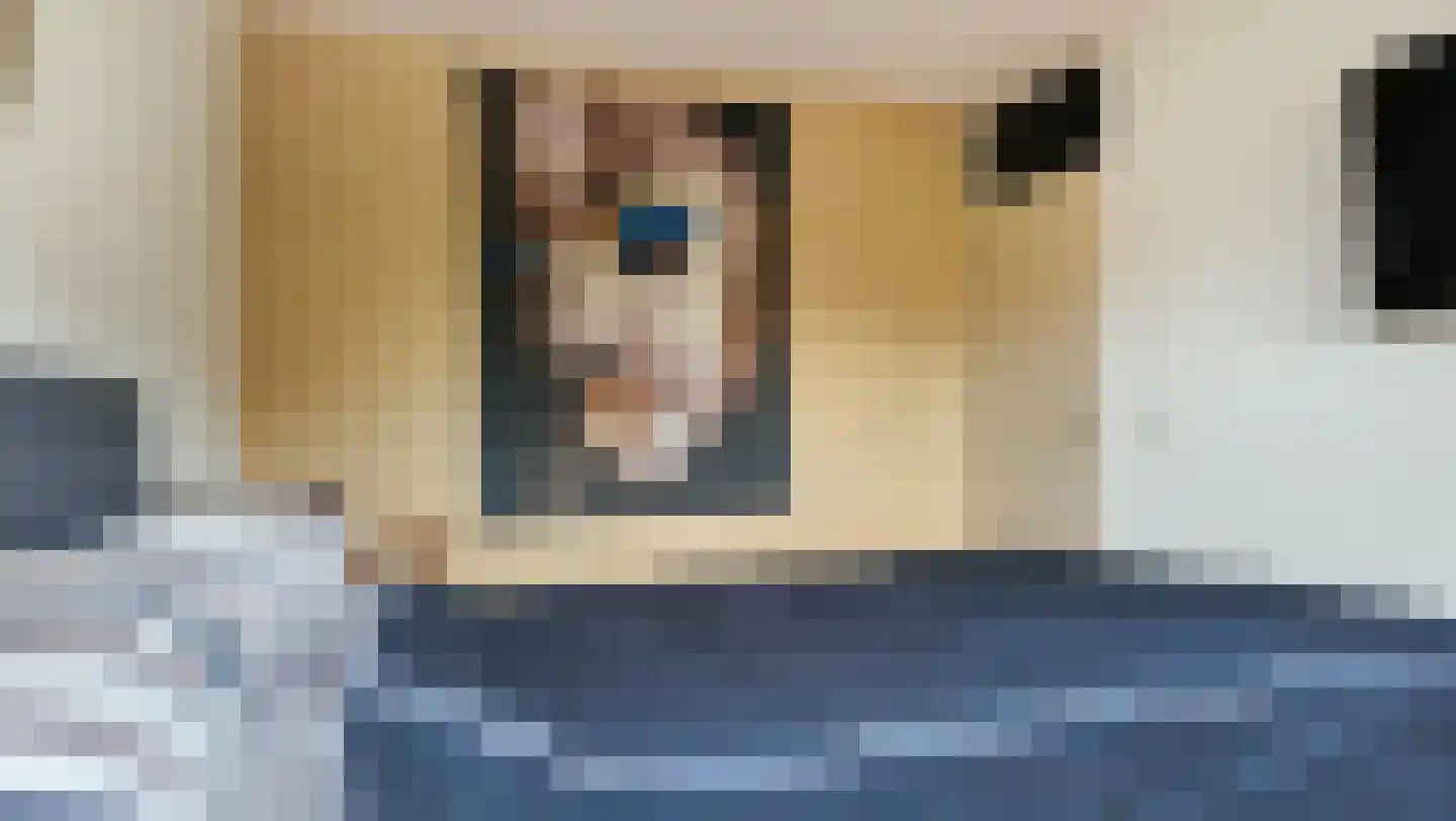 Bongerd 18 Giesbeek thumbnail 37