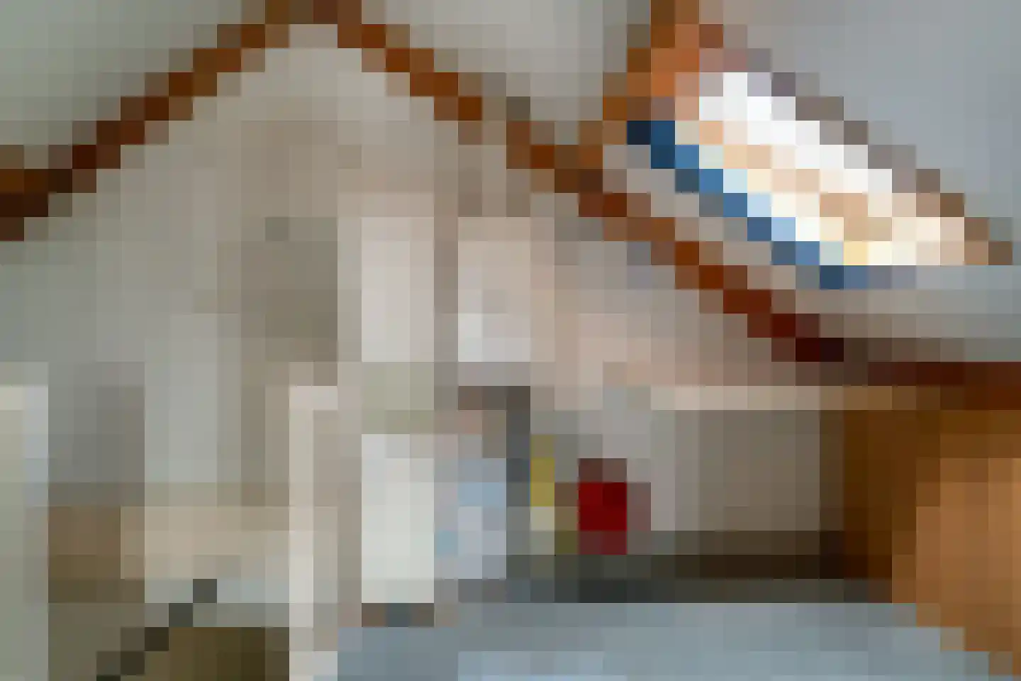 Bongerd 18 Giesbeek thumbnail 42