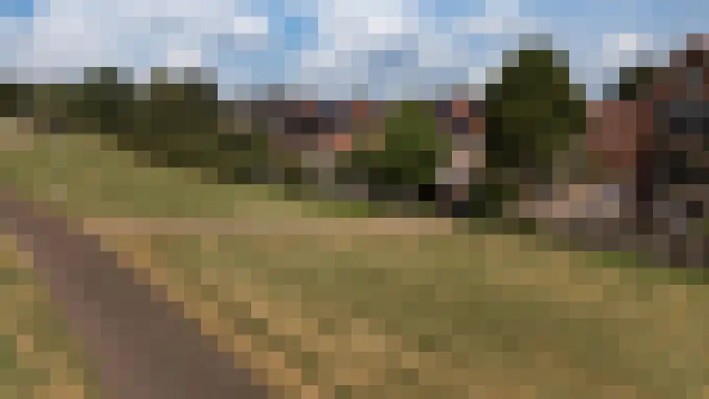 Bongerd 18 Giesbeek thumbnail 45