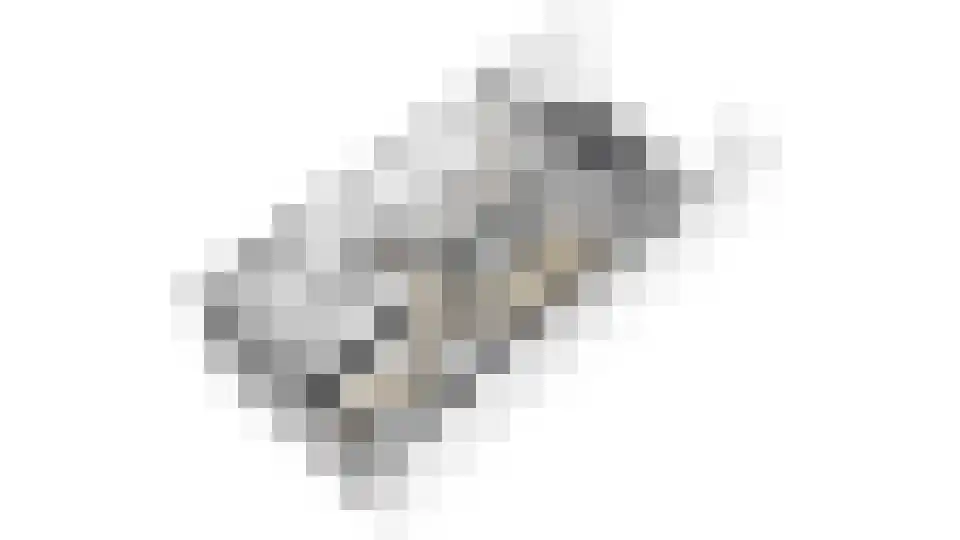 Bongerd 18 Giesbeek thumbnail 50