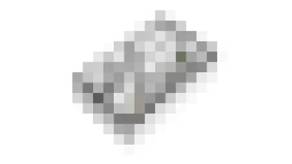 Bongerd 18 Giesbeek thumbnail 52