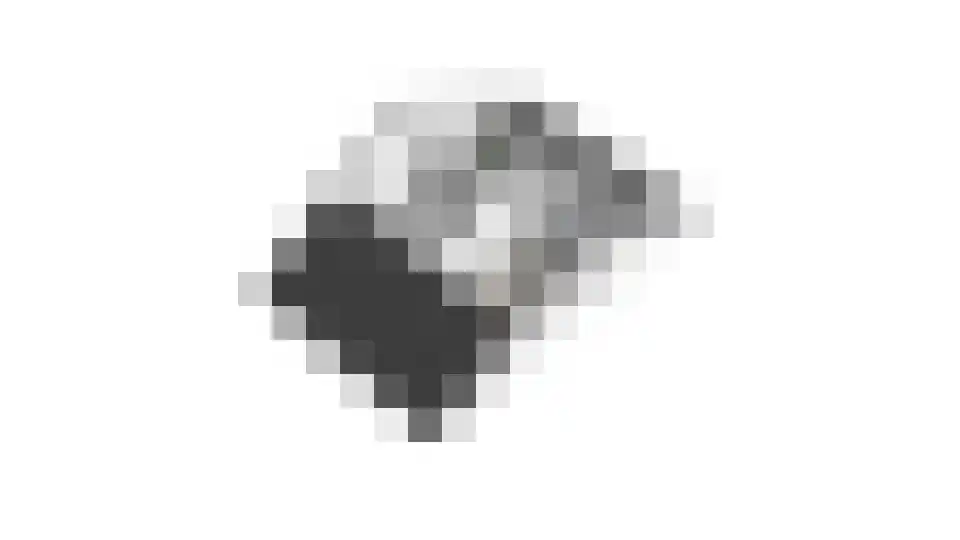 Bongerd 18 Giesbeek thumbnail 54