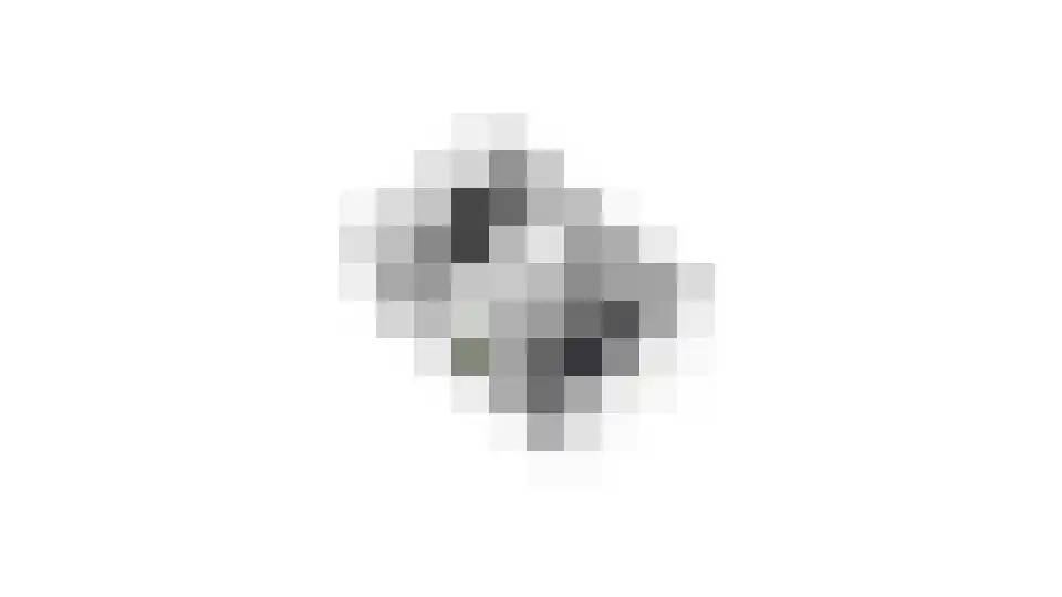 Bongerd 18 Giesbeek thumbnail 56