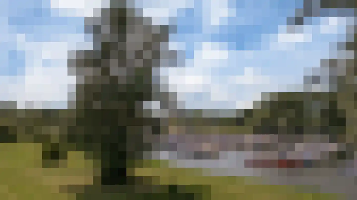 Bongerd 18 Giesbeek thumbnail 9