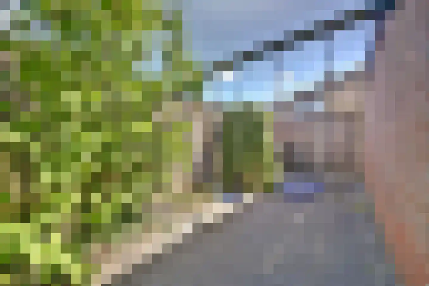 Bongerd 18 Lelystad thumbnail 25