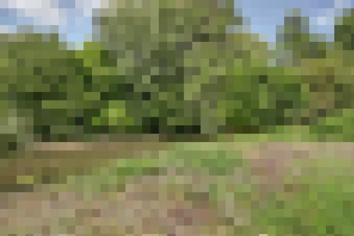 Bongerd 18 Lelystad thumbnail 31