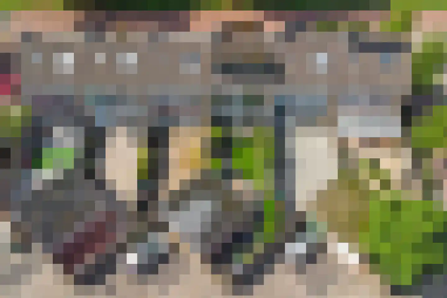 Bongerd 18 Lelystad thumbnail 35