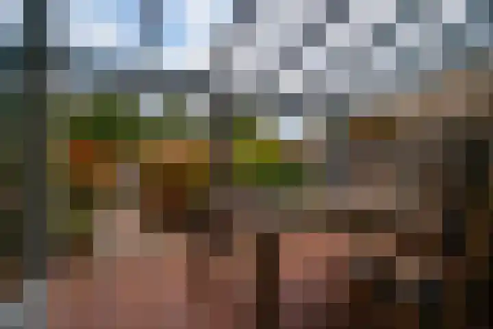 Bongerd 20 Giesbeek thumbnail 17