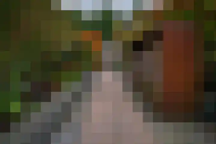 Bongerd 20 Giesbeek thumbnail 20