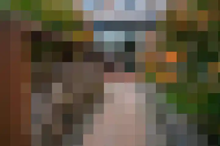 Bongerd 20 Giesbeek thumbnail 22