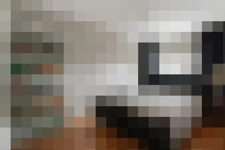 Bongerd 20 Giesbeek thumbnail 25