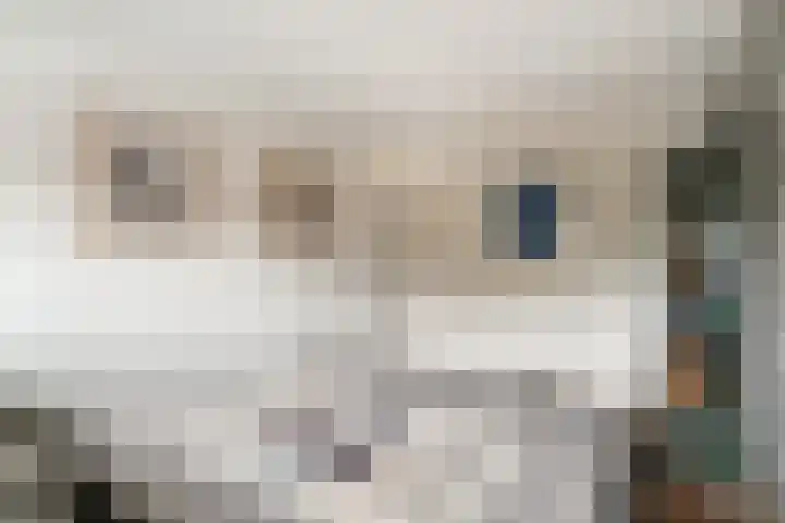 Bongerd 20 Giesbeek thumbnail 26