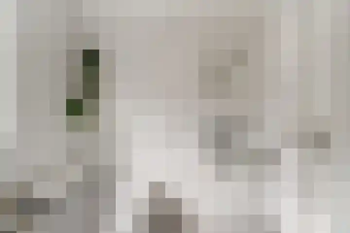 Bongerd 20 Giesbeek thumbnail 33