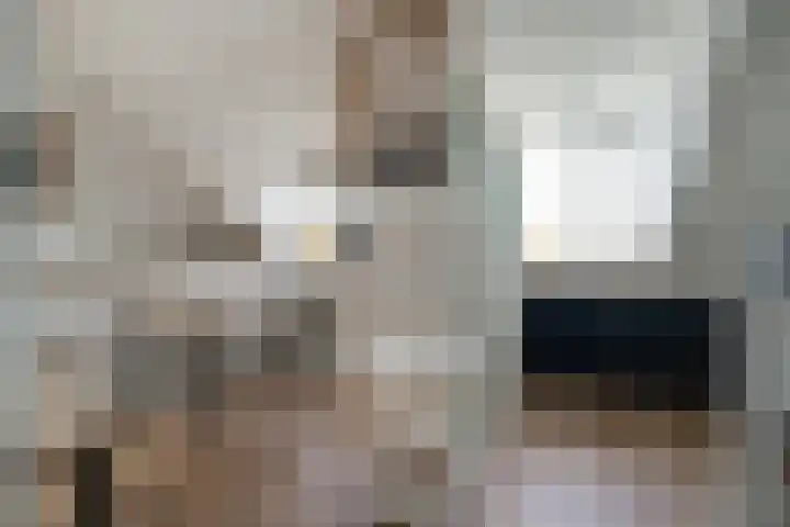 Bongerd 20 Giesbeek thumbnail 36