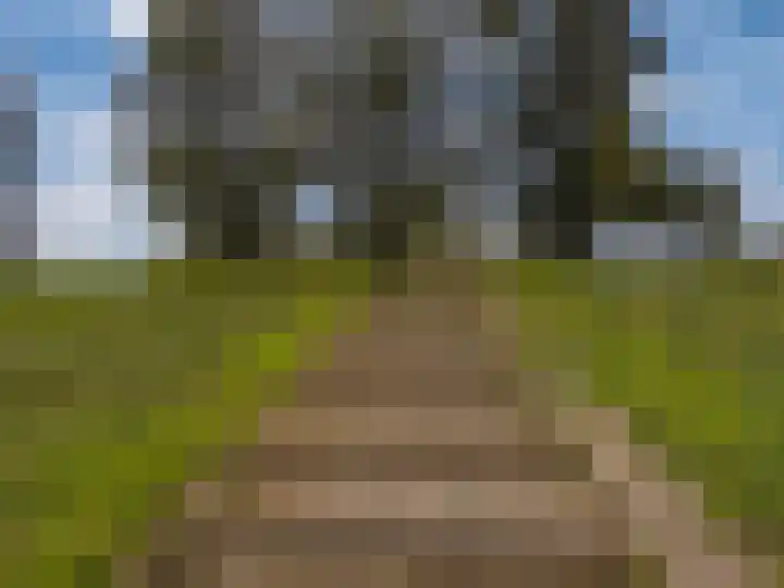Bongerd 20 Giesbeek thumbnail 39