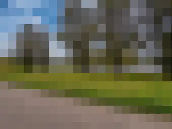 Bongerd 20 Giesbeek thumbnail 40