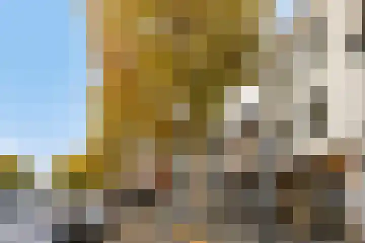 Bongerd 21 A Heerlen thumbnail 19