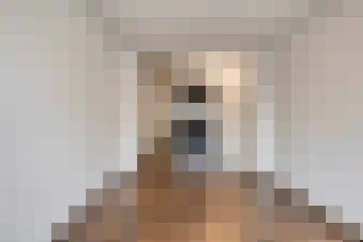 Bongerd 21 A Heerlen thumbnail 9