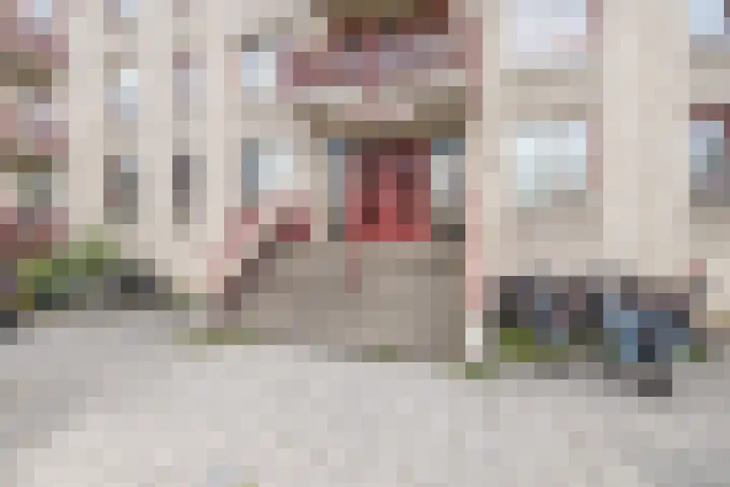 Bongerd 24 Barneveld thumbnail 34
