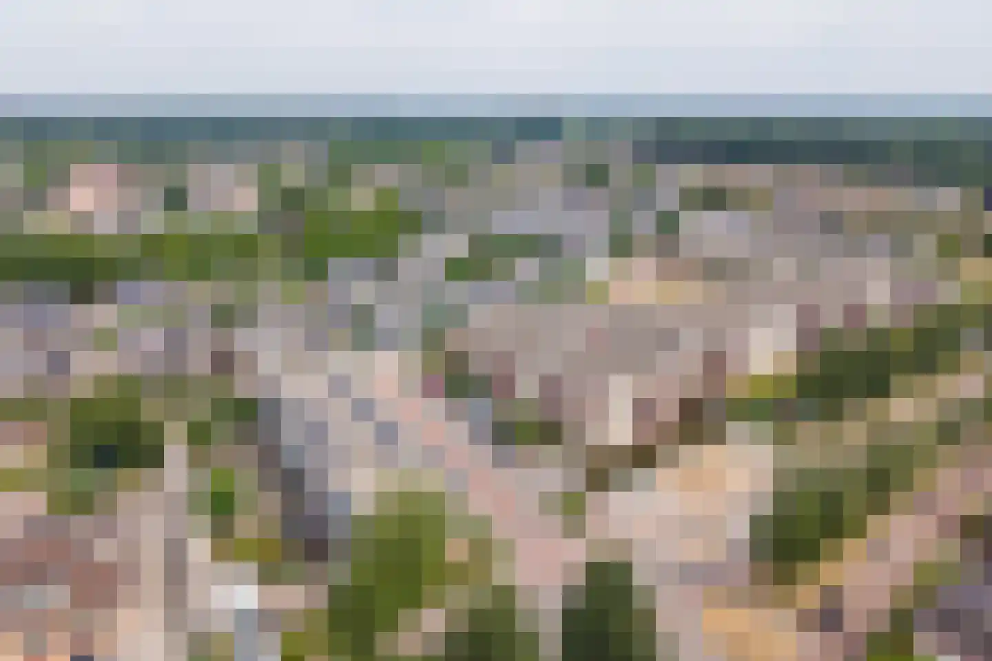 Bongerd 24 Barneveld thumbnail 39